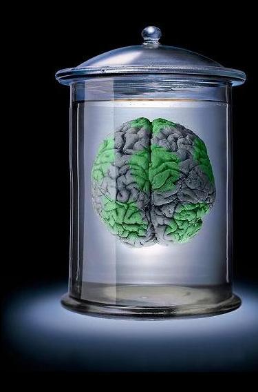 Brain in a jar